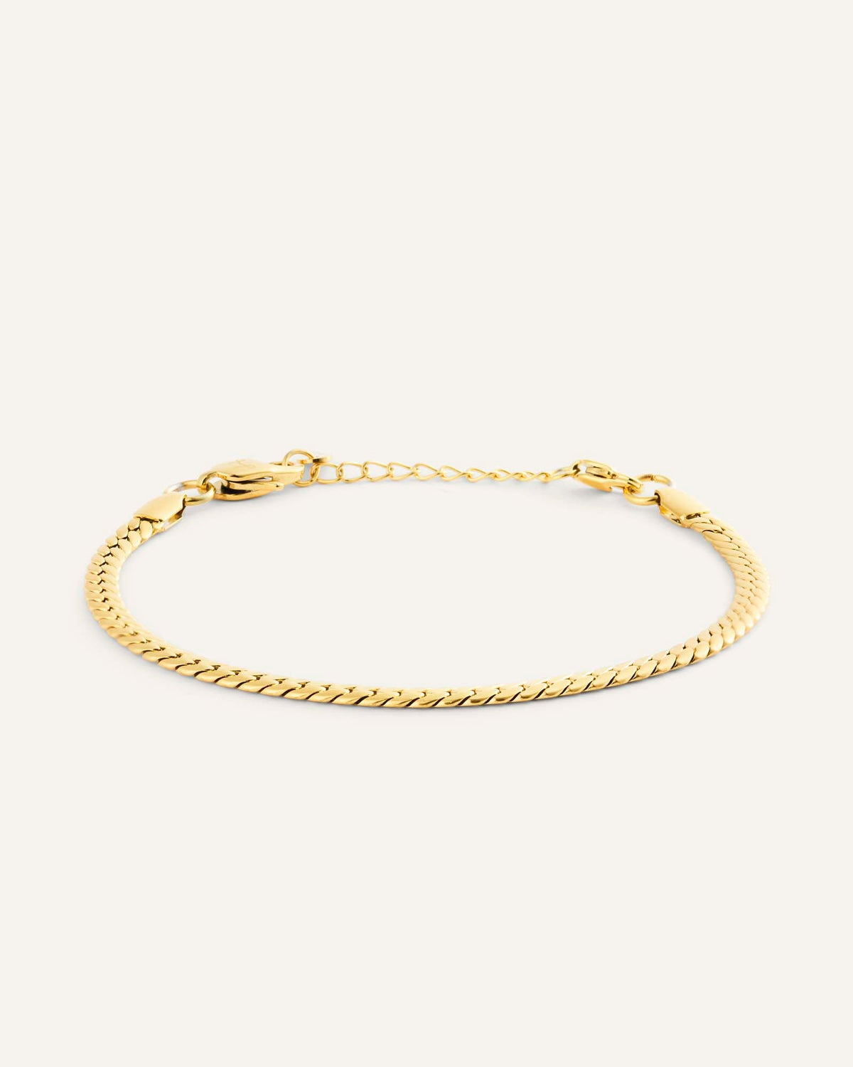 Serpentine Chain Bracelet