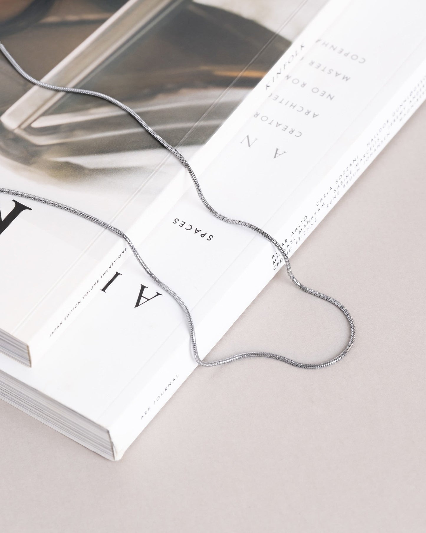 Snake Chain Necklace