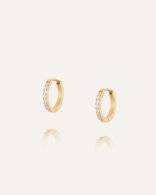 Shiny Hoops Medium