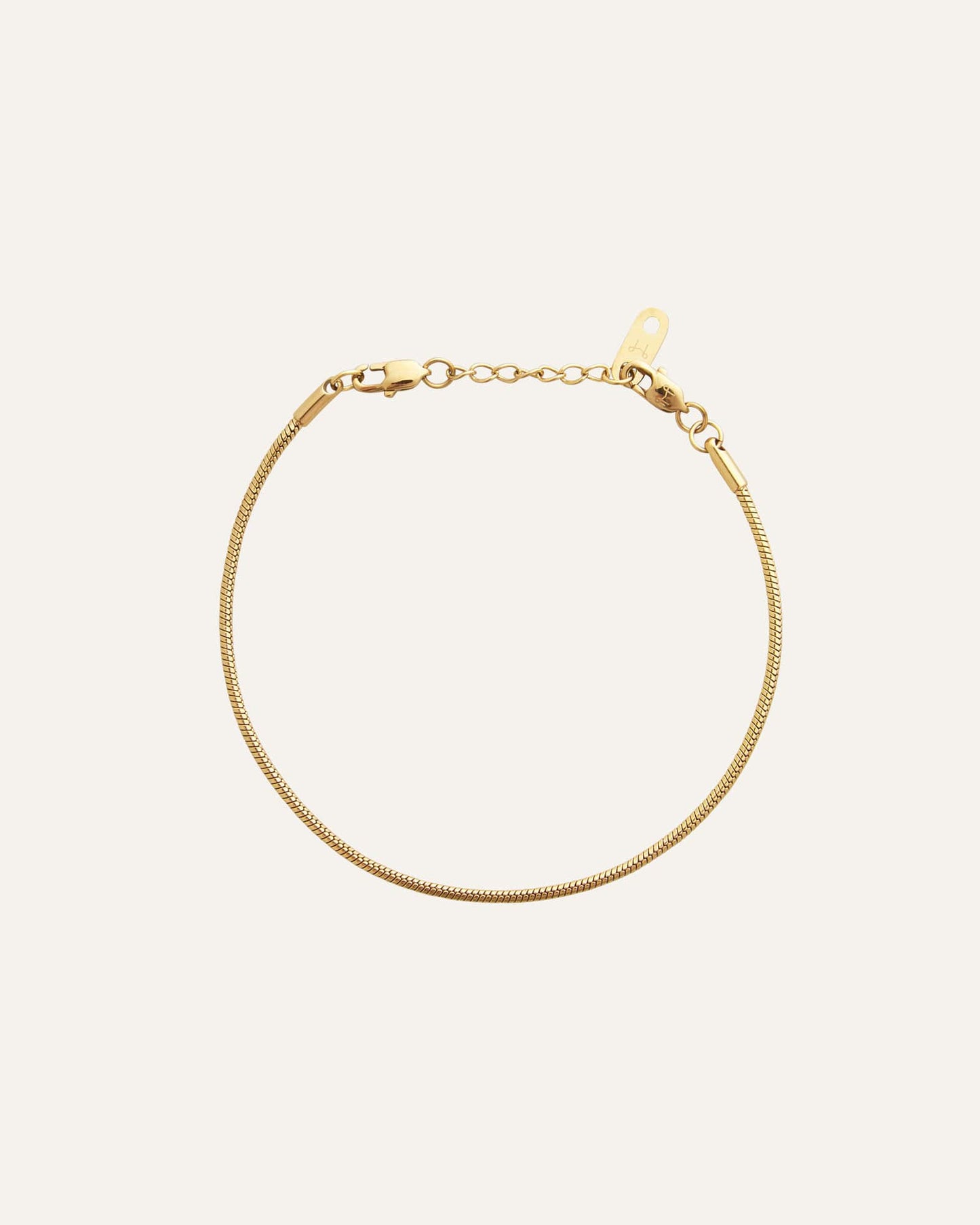 Snake Chain Bracelet